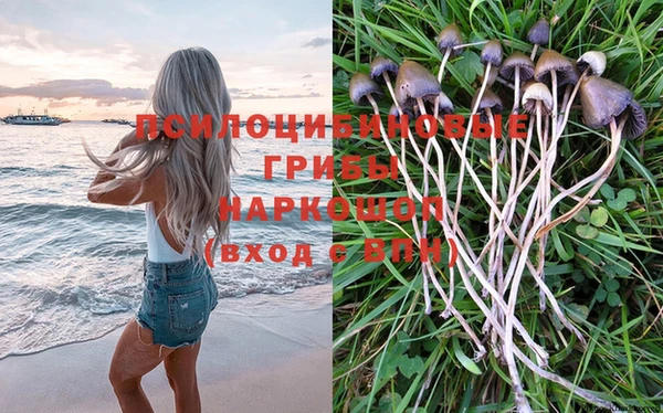 бошки Бронницы