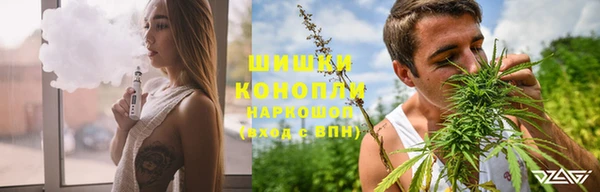 бошки Бронницы
