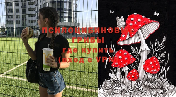 бошки Бронницы