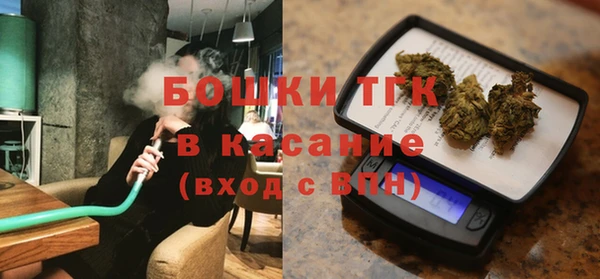 2c-b Бородино