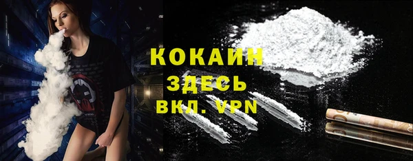2c-b Бородино