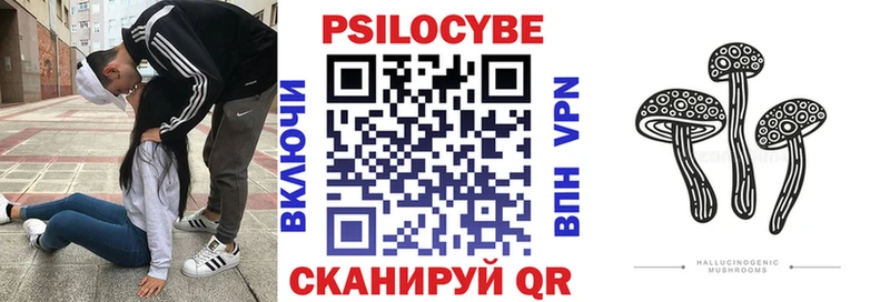 Псилоцибиновые грибы Psilocybe  Купить закладки  Арсеньев 